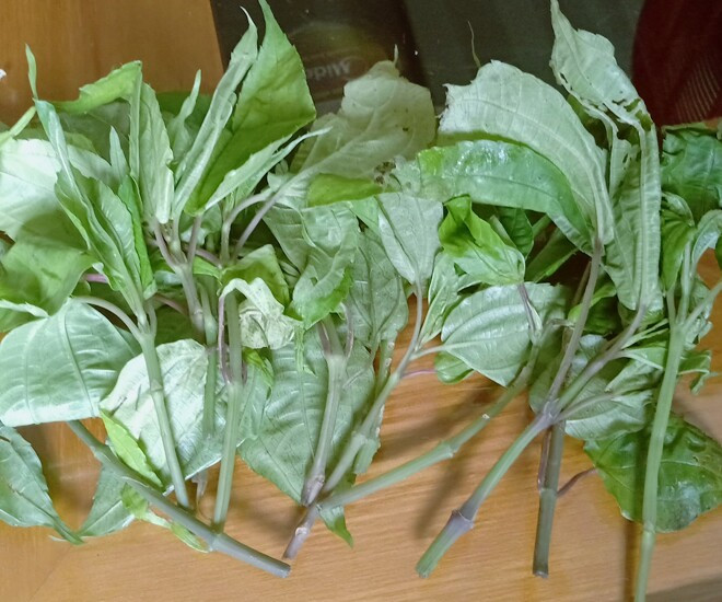 Do mùi thơm đặc biệt này mà hiện nay pạ phì được biết tới rộng rãi. Ảnh: Internet