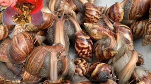 Ốc ma có thể xào măng chua, xà lá chanh, xào sả ớt hay ốc ma nướng...Ảnh: YouTube