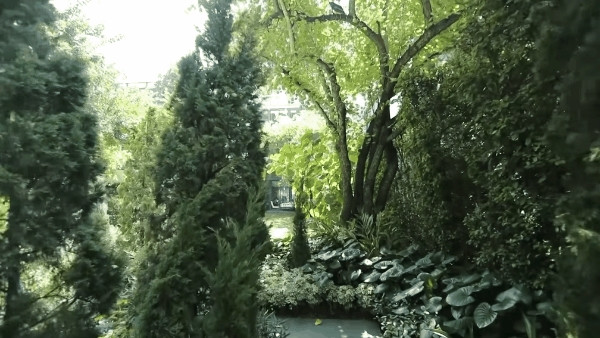 Đây cũng là nơi nữ đại gia ngồi thưởng trà ngắm nhìn mọi thứ. Ảnh chụp màn hình