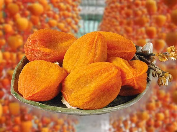 Sau khi treo từ 7 - 10 ngày, những trái hồng sẽ được mát xa mỗi ngày để chúng mềm đều, lớp vỏ bên ngoài se lại, lõi bên trong mềm và đượm mật. Ảnh: Hongtreogio