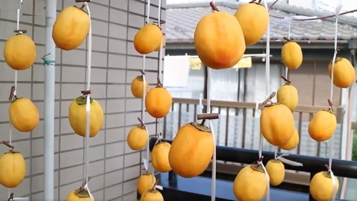 Các công đoạn làm hồng treo gió cũng khá kỳ công. Quan trọng nhất là chọn những quả hồng tươi đạt chất lượng sau khi thu hái. Ảnh: Điện máy xanh
