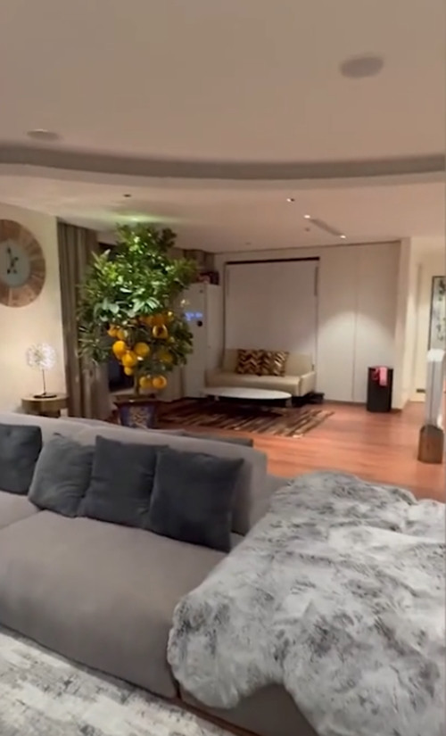 Dù không sống ở đây nhưng căn biệt thự vẫn đầy đủ tiện nghi, các phòng được sắp xếp gọn gàng. Ảnh chụp màn hình