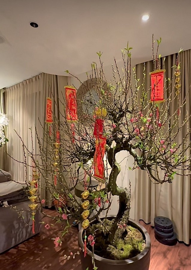 Trên trang cá nhân, Lệ Quyên thường xuyên khoe góc nhà ấm cúng bên trong căn biệt thự ở Hà Nội. Ảnh: FBNV