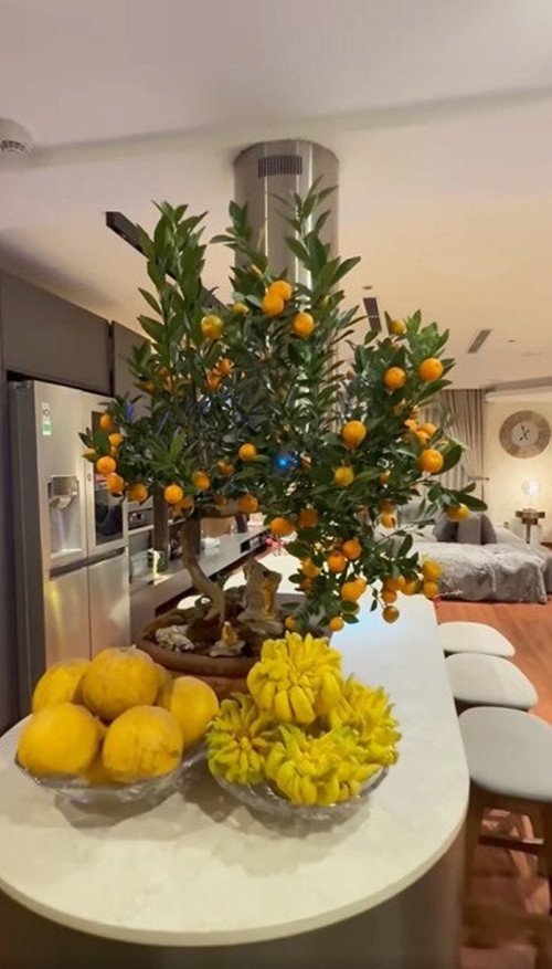 Dịp Tết, ca sĩ Lệ Quyên trang trí nhà với nhiều cây ảnh và hoa tươi. Ảnh chụp màn hình