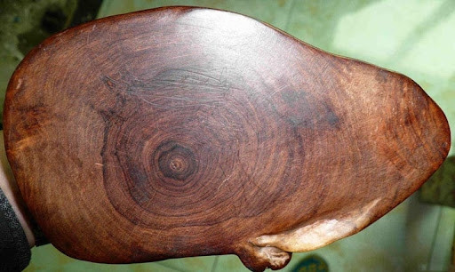 Gỗ hoàng hoa lê có màu vàng óng ánh, vân gỗ xoắn ốc độc đáo, độ cứng cao và khả năng chống mối mọt tự nhiên. Ảnh minh họa