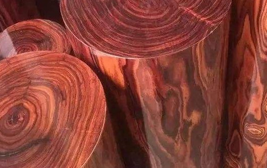 Bên cạnh đó, hoàng hoa lê còn được đánh giá cao về giá trị y học. Theo y học cổ truyền, loại gỗ này từng được sử dụng để điều chế thuốc, giúp tăng cường sức khỏe, hỗ trợ điều trị bệnh mạn tính...Ảnh minh họa