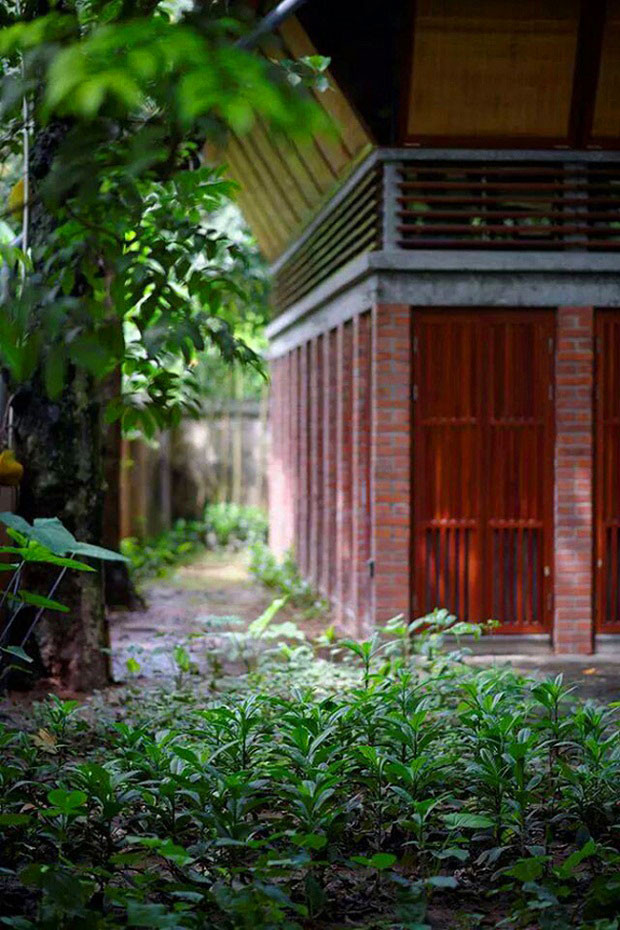 Vườn cây và rau xanh mát biến căn nhà giữa thủ đô thành không gian yên bình. Ảnh: Ngọc Lương Lê