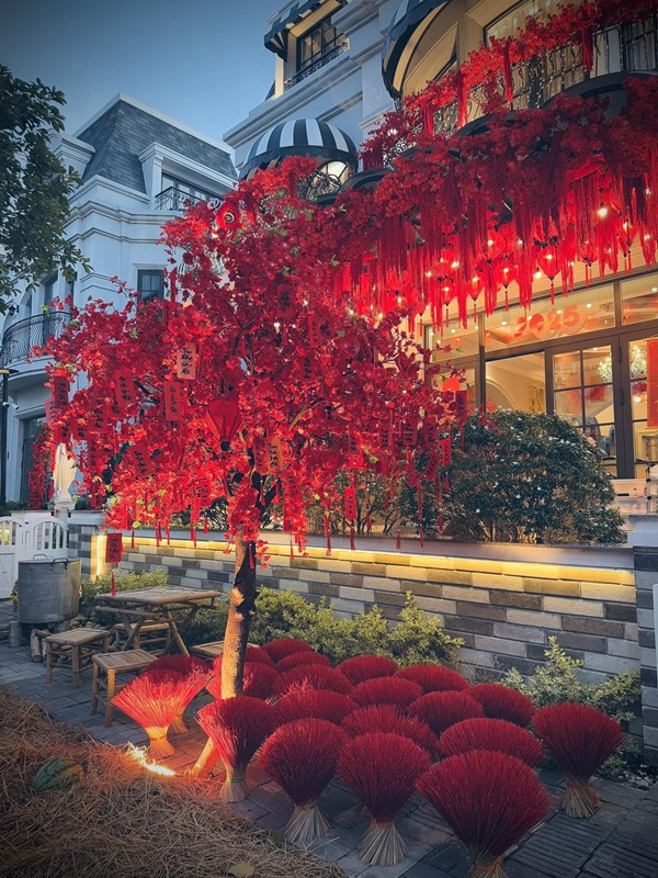 Độ giàu có của vợ chồng Đoàn Di Băng còn thể hiện ở việc sở hữu hàng loạt bất động sản đắt đỏ. Ảnh: FBNV