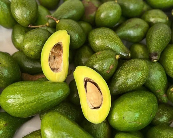 Bơ đầu mùa tăng giá gấp đôi Bo dau mua tang gia gap doi