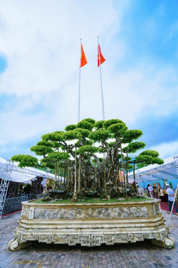 Tuy nhiên, khi đại gia Nhật Bản ngỏ ý muốn mua "Nham thạch bách niên", chủ nhân đã từ chối. Ảnh: Internet