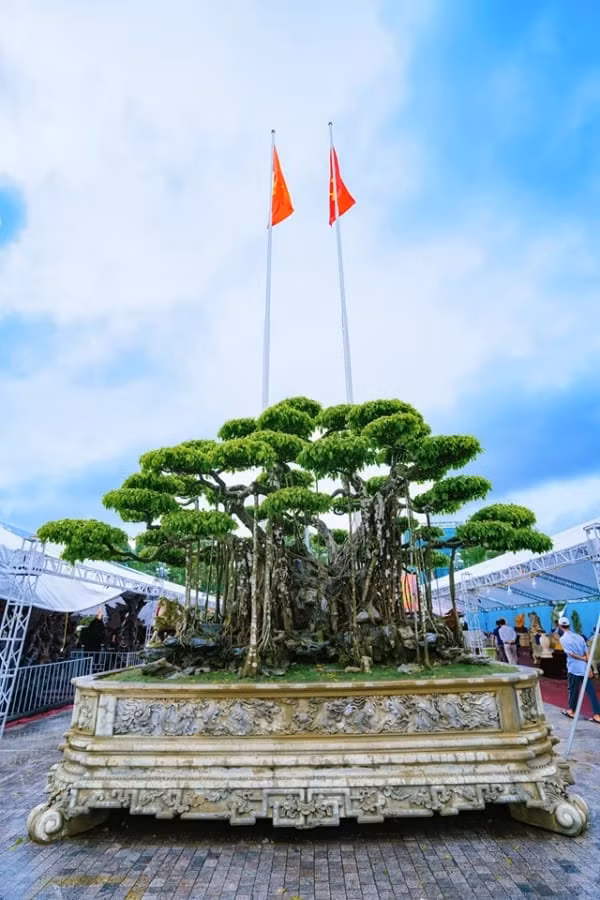 Tuy nhiên, khi đại gia Nhật Bản ngỏ ý muốn mua "Nham thạch bách niên", chủ nhân đã từ chối. Ảnh: Internet