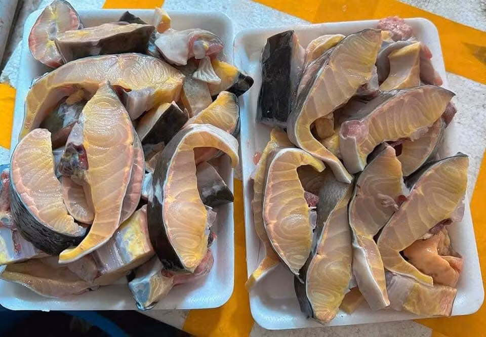 Cá tầm siêu rẻ đầy chợ mạng: Cần trọng kẻo “tiền mất tật mang” - Hình 2 Ca tam sieu re day cho mang: Can trong keo “tien mat tat mang”-Hinh-2