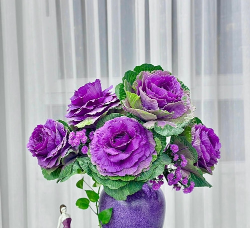 Cách chăm sóc hoa hồng bắp cải khá đơn giản, chỉ cần tưới nước và đặt ngoài nắng. Ảnh: Fcebook