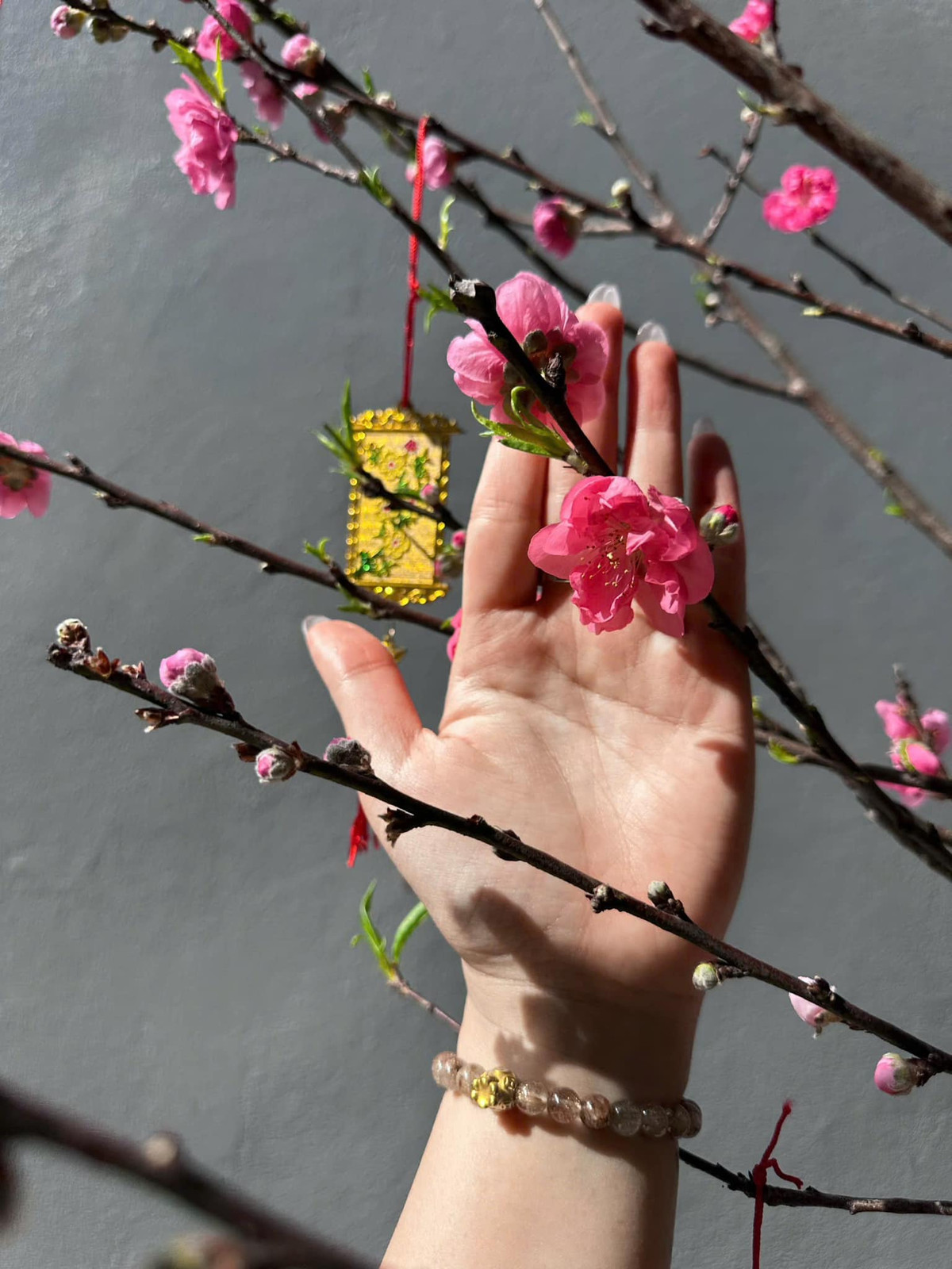 Đào đỏ cánh kép giá 155.000 đồng/bó. Ảnh; FB Mai Út