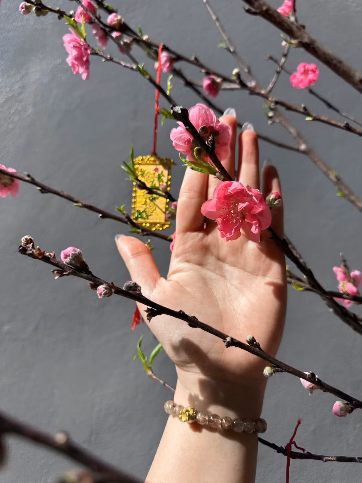 Đào đỏ cánh kép giá 155.000 đồng/bó. Ảnh; FB Mai Út