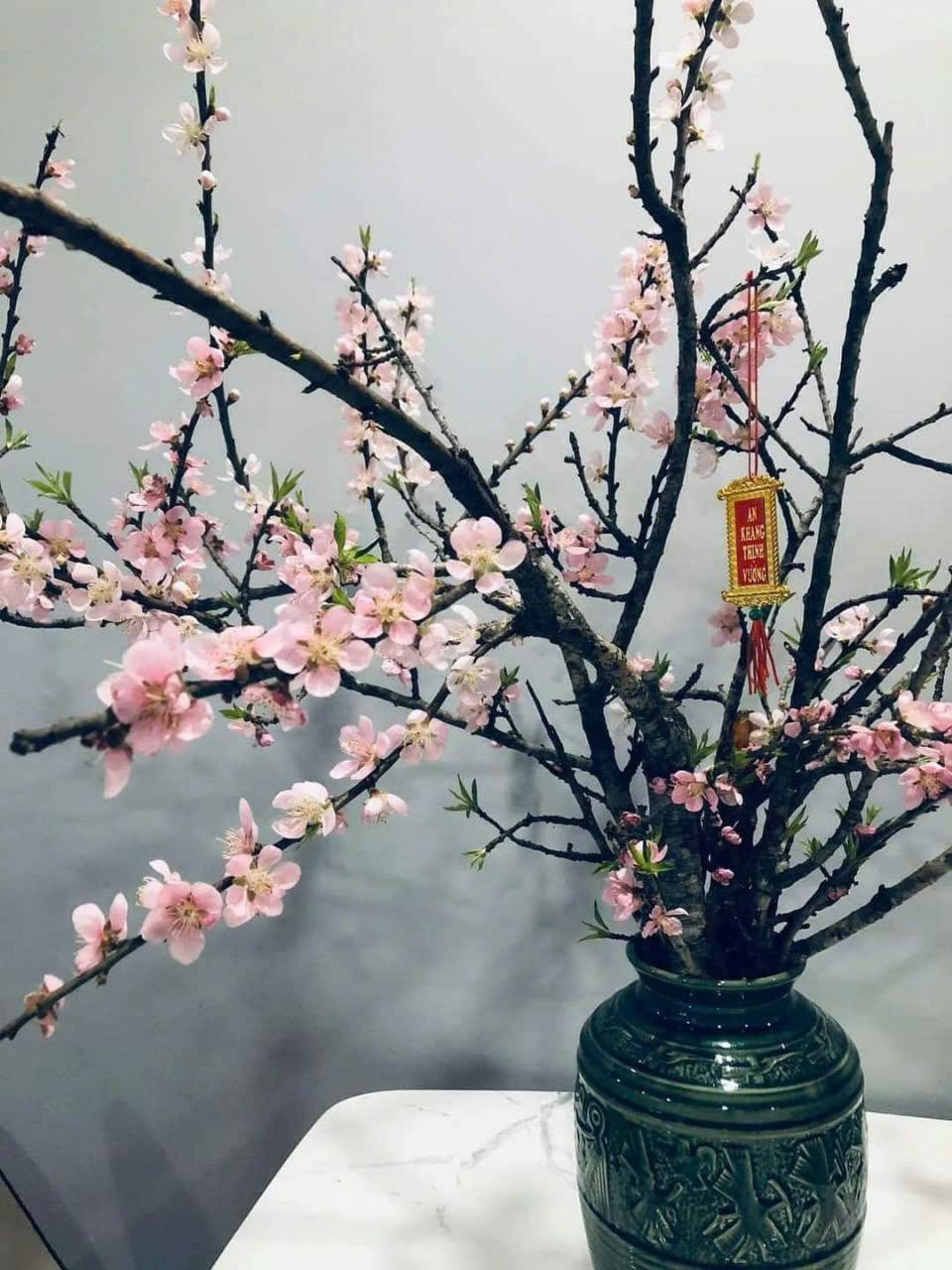 Theo chị Huệ, khách mua đào chơi Rằm tháng Giêng không nhiều bằng dịp Tết Nguyên đán. Hầu hết, khách chọn mua những cành đào nhỏ hoặc cành dăm cắm bình. Ảnh: FB Lê Thị Huế