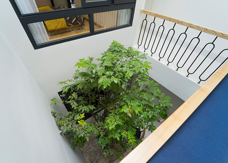 Để tận dụng khoảng thông tầng, kiến trúc sư trồng thêm cây xanh để thanh lọc khí và cho cảm giác thư thái. Ảnh: QPS House