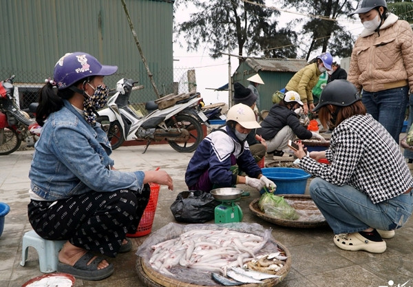 Hiện nay, giá cá khoai dao động từ 400.000-600.000 đồng/kg tùy loại to hay nhỏ. Ảnh: Vietnamnet