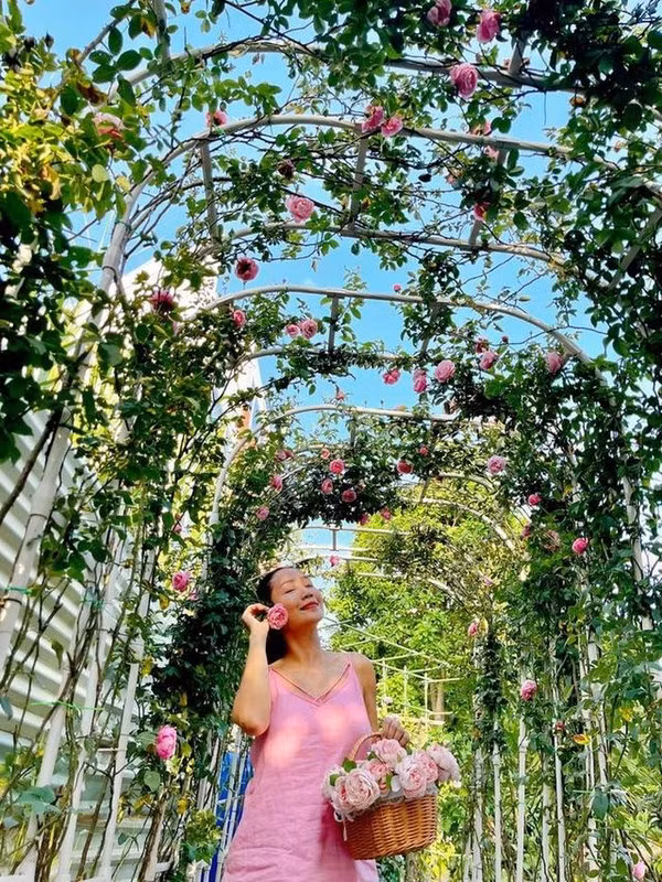 Ngoài cây ăn trái, Ốc Thanh Vân còn thiết kế một vòm hồng leo đẹp mắt. Ảnh: FBNV