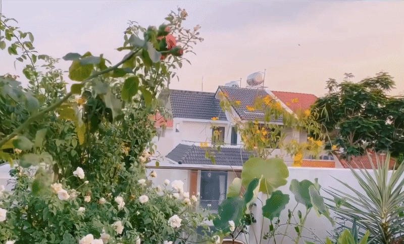 MC Quyền Linh cho biết, tổ ấm được thiết kế theo dạng sân vườn với nhiều loại hoa, vườn rau và cây trái sai trĩu quả. Ảnh chụp màn hình