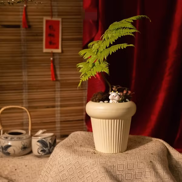 Dương xỉ có thể trồng trong chậu hoặc bình thủy sinh để trang trí bàn học, phòng khách, bệ cầu thang...Ảnh: Facebook