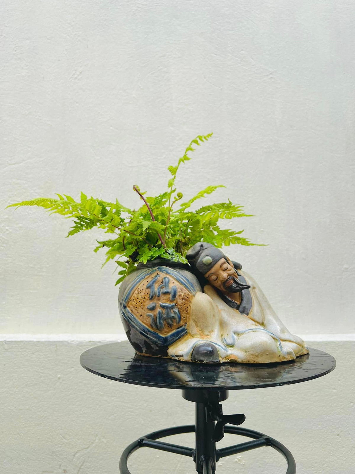 Bonsai dương xỉ với tạo hình đầy nghệ thuật. Ảnh: Facebook