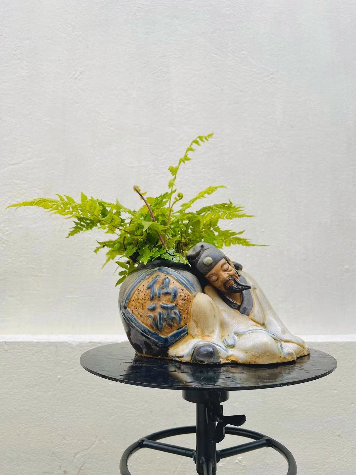 Bonsai dương xỉ với tạo hình đầy nghệ thuật. Ảnh: Facebook