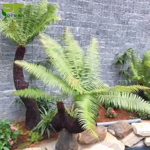 Theo các chủ vườn cây cảnh, cây dương xỉ có sức sống mãnh liệt, vươn lên như loài cỏ dại, thể hiện ý chí kiên cường. Ảnh: Phương Trung Green