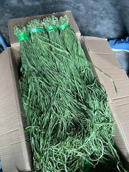 Trên thị trường, rau tiến vua thường được bán ở dạng "khô như rơm", màu xanh nhạt bắt mắt. Ảnh: FB Nguyễn Thu Vân