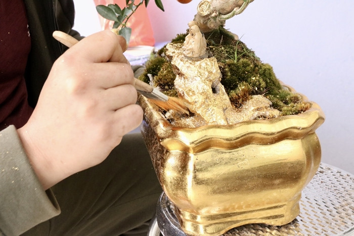 Chậu quất bonsai được nghệ nhân dát từ những lá vàng công nghiệp 24K. Ảnh: Tiền phong