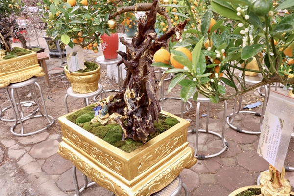 Công đoạn dát vàng không quá khó nhưng cần sự tỉ mỉ và cẩn thận. Ảnh: Tiền phong