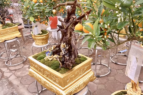 Công đoạn dát vàng không quá khó nhưng cần sự tỉ mỉ và cẩn thận. Ảnh: Tiền phong