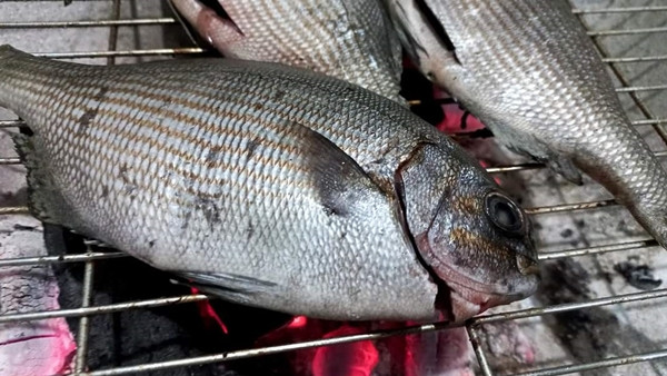 Trước đây, chỉ người dân địa phương mới biết tới nhưng hiện nay cá tà ma được du khách ưa chuộng và lùng mua thưởng thức mỗi khi đến mùa. Ảnh: Internet