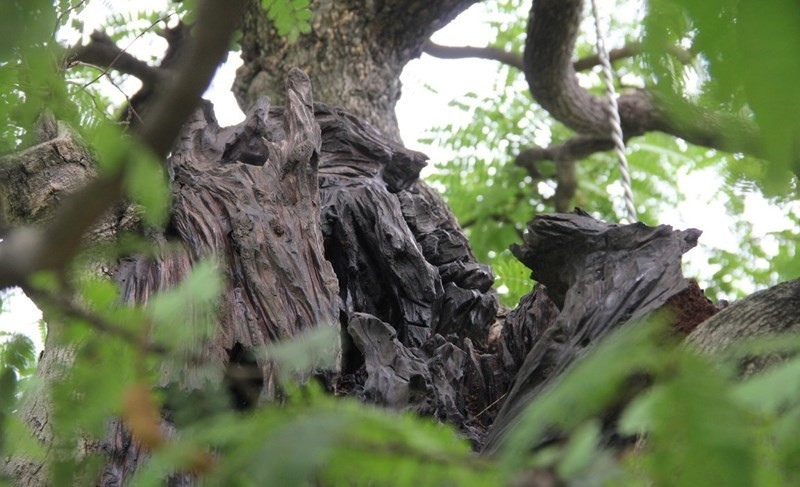 Vết lồi lõm là dấu ấn của thời gian. Ảnh: Vietnamnet