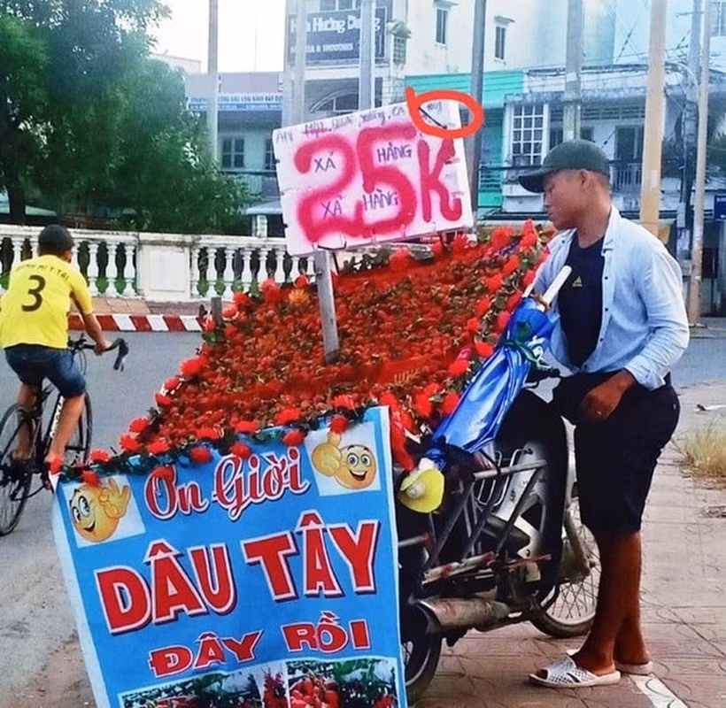 Dâu tây 25.000 đồng/100g nhưng nhiều người tưởng giá 25.000/kg. Ảnh: Internet