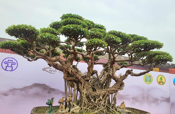 Phía bên này là hình tượng bác Hồ đang ngồi trên mỏm đá, như đang cổ vũ, chờ tin chiến thắng. Ảnh: Người đưa tin