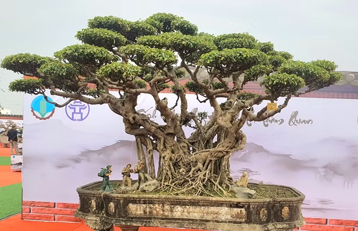 Tại một triển lãm sinh vật cảnh ở Hà Nội, nhiều người choáng ngợp trước tác phẩm sanh cổ mang tên “Bác đang cùng chúng cháu hành quân” của nghệ nhân Nguyễn Văn Nhọ trú tại xã Đồng Trúc, huyện Thạch Thất (Hà Nội). Ảnh: Người đưa tin