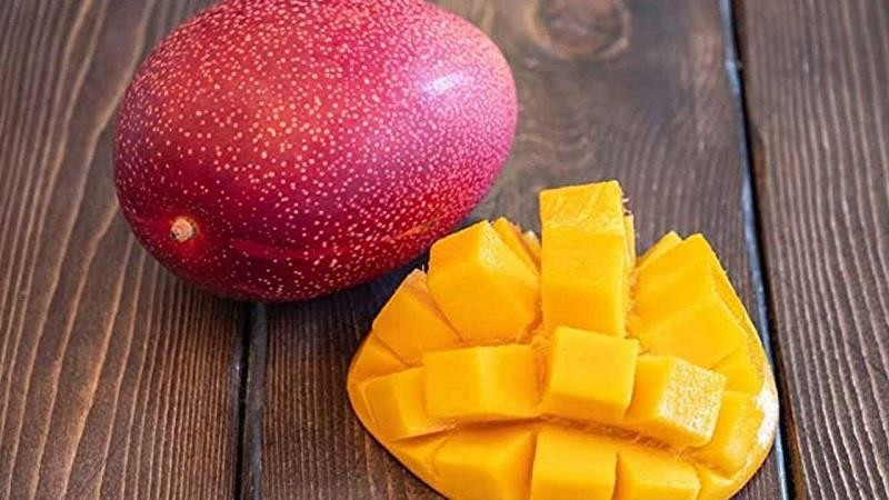 Mỗi trái xoài mang đi đấu giá đều phải đạt nhiều tiêu chí khắt khe, bao gồm đạt trọng lượng mỗi quả ít nhất 350gram, chứa hàm lượng đường cao, hơn một nửa phần vỏ chuyển sang màu đỏ hồng...Ảnh: ZenPop