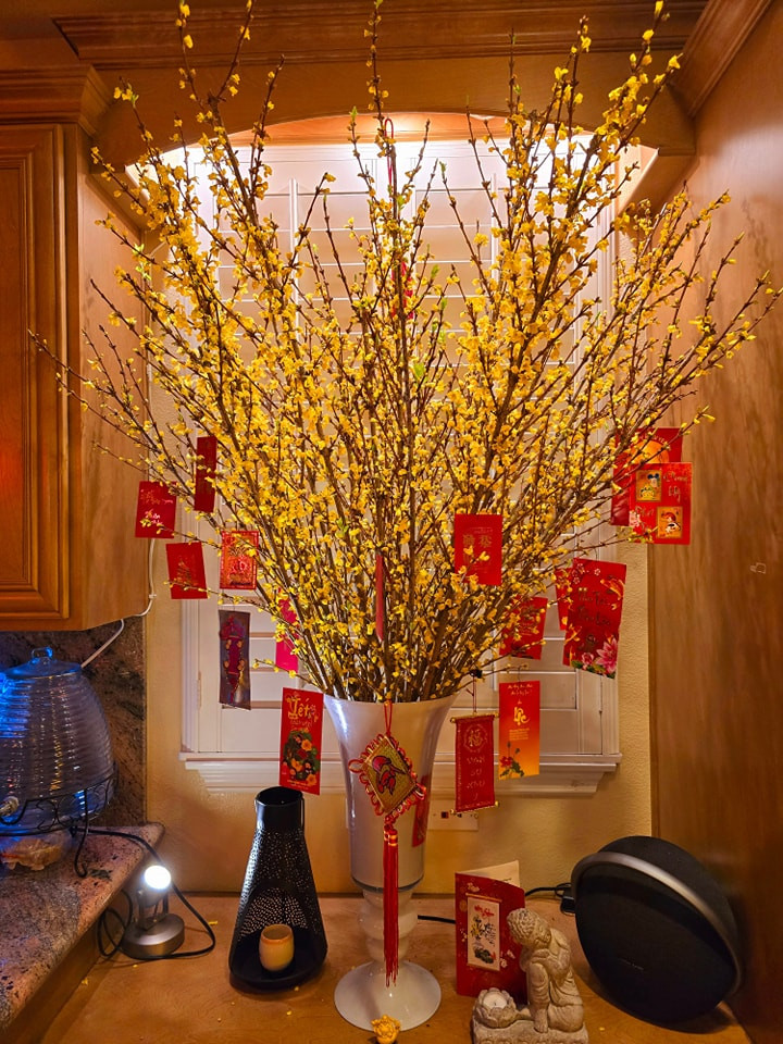 Biệt thự của Hồ Lệ Thu luôn được trang trí bằng hoa tươi. Ảnh: FBNV