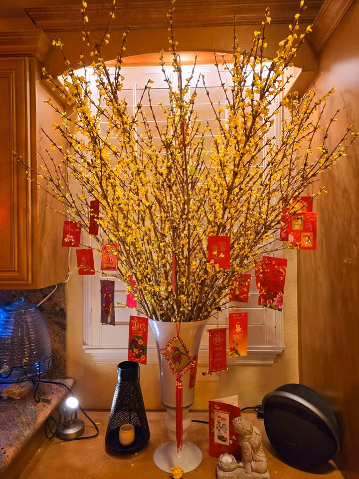 Biệt thự của Hồ Lệ Thu luôn được trang trí bằng hoa tươi. Ảnh: FBNV