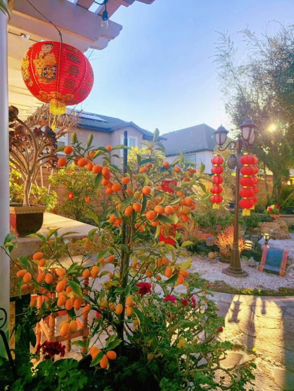 Khu vườn nhà Hồ Lệ Thu rực rỡ sắc màu. Ảnh: FBNV