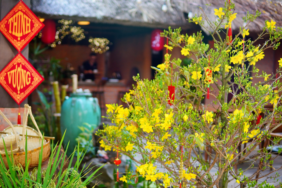 Nơi đây còn có nhiều tiện ích khác như khu cafe dành để nghỉ ngơi sau những giờ tập luyện, khu văn phòng...Ảnh: FBNV