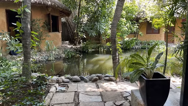 Ngôi nhà vách đất, mái lá, trồng nhiều cây xanh, có hồ sinh thái, mang đến không gian thoáng đãng, yên bình nhưng vẫn đầy đủ các tiện nghi hiện đại. Ảnh: FBNV