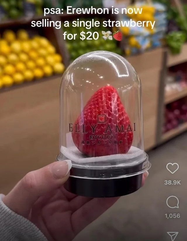 Đặc biệt, những quả dâu tây này là hữu cơ, chỉ chiếm 0,002% sản lượng của Nhật Bản. Ảnh: Reddit