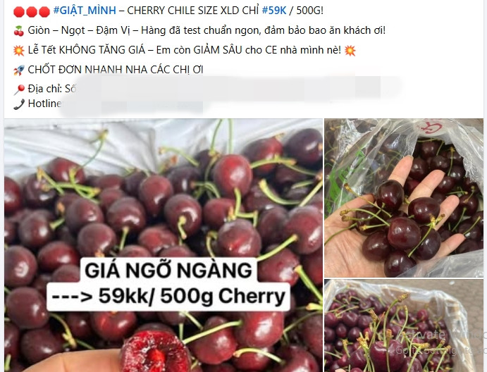 Cherry nhập khẩu “rẻ chưa từng thấy”, chị em thi nhau mua Cherry nhap khau “re chua tung thay”, chi em thi nhau mua