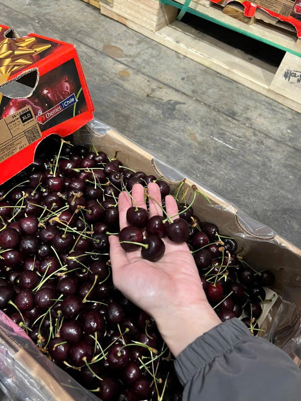 Cherry nhập khẩu “rẻ chưa từng thấy”, chị em thi nhau mua - Hình 2 Cherry nhap khau “re chua tung thay”, chi em thi nhau mua-Hinh-2