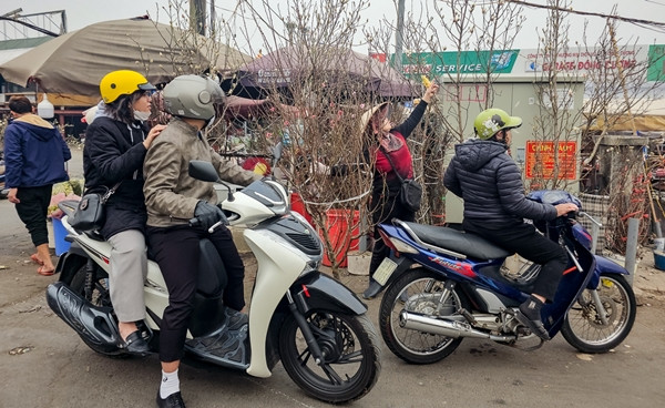 Chưa đầy một tháng nữa là đến Tết Nguyên đán Ất Tỵ 2025, thị trường hoa, cây cảnh bắt đầu vào mùa nhộn nhịp nhất trong năm. Ảnh: Baotintuc