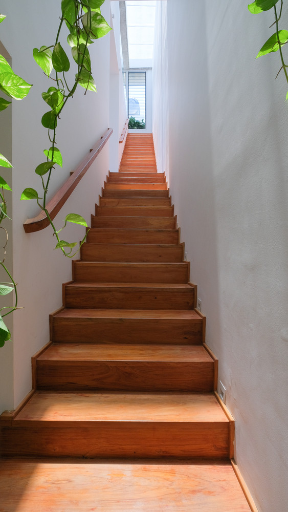 Cây dây leo trang trí đẹp mắt tại khoảng cầu thang hướng lên tầng trên. Ảnh: Kiến trúc Chơn