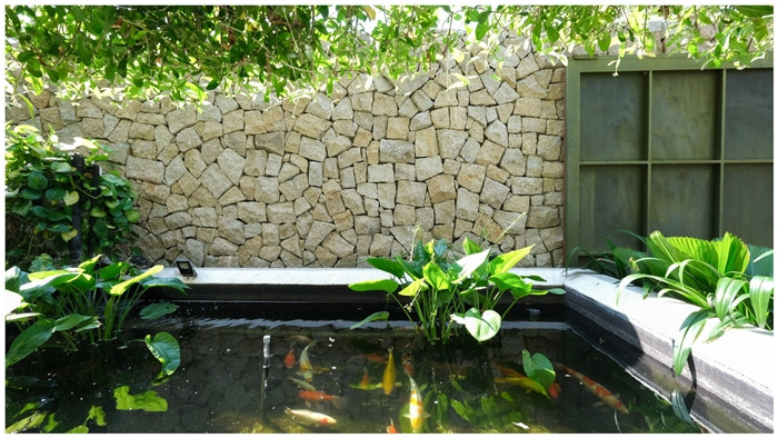 Hồ cá Koi là không gian hai con gái rất thích thú, có thể ngồi ngắm cả ngày. Ảnh: Kiến trúc Chơn