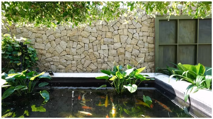 Hồ cá Koi là không gian hai con gái rất thích thú, có thể ngồi ngắm cả ngày. Ảnh: Kiến trúc Chơn